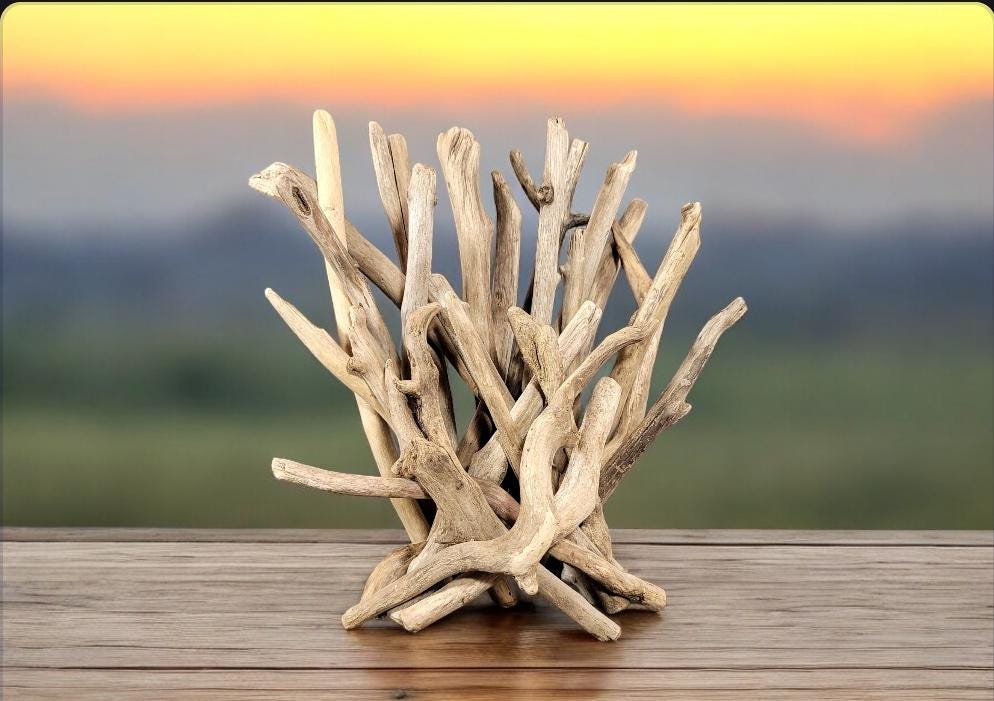 Small Abstract Driftwood Sculpture - Customizable Wood Color